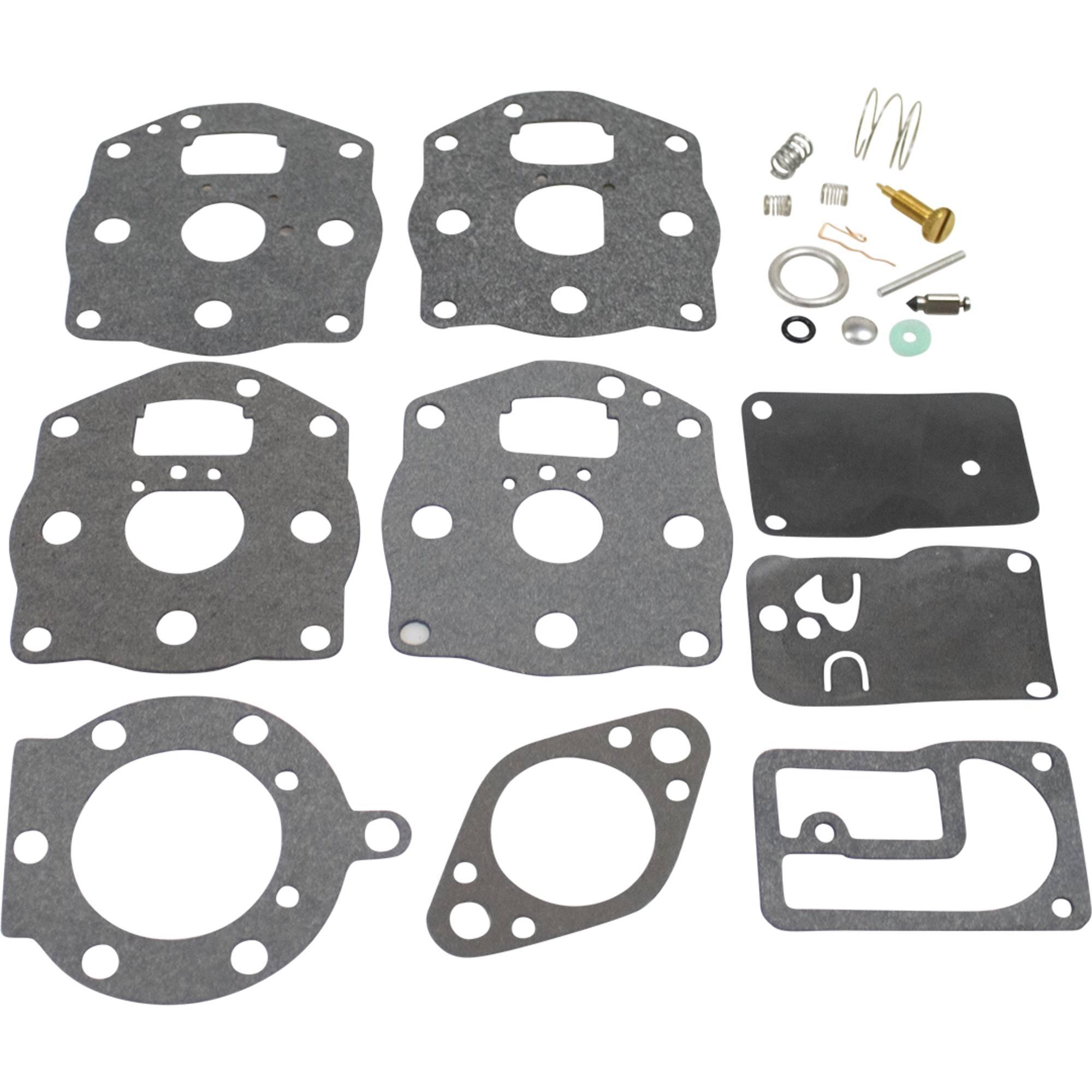 520080 Carburetor Kit